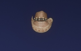 Gator Hat - Hats - RDR2Mods.com