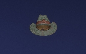 Diamondback Hat - Hats - RDR2Mods.com