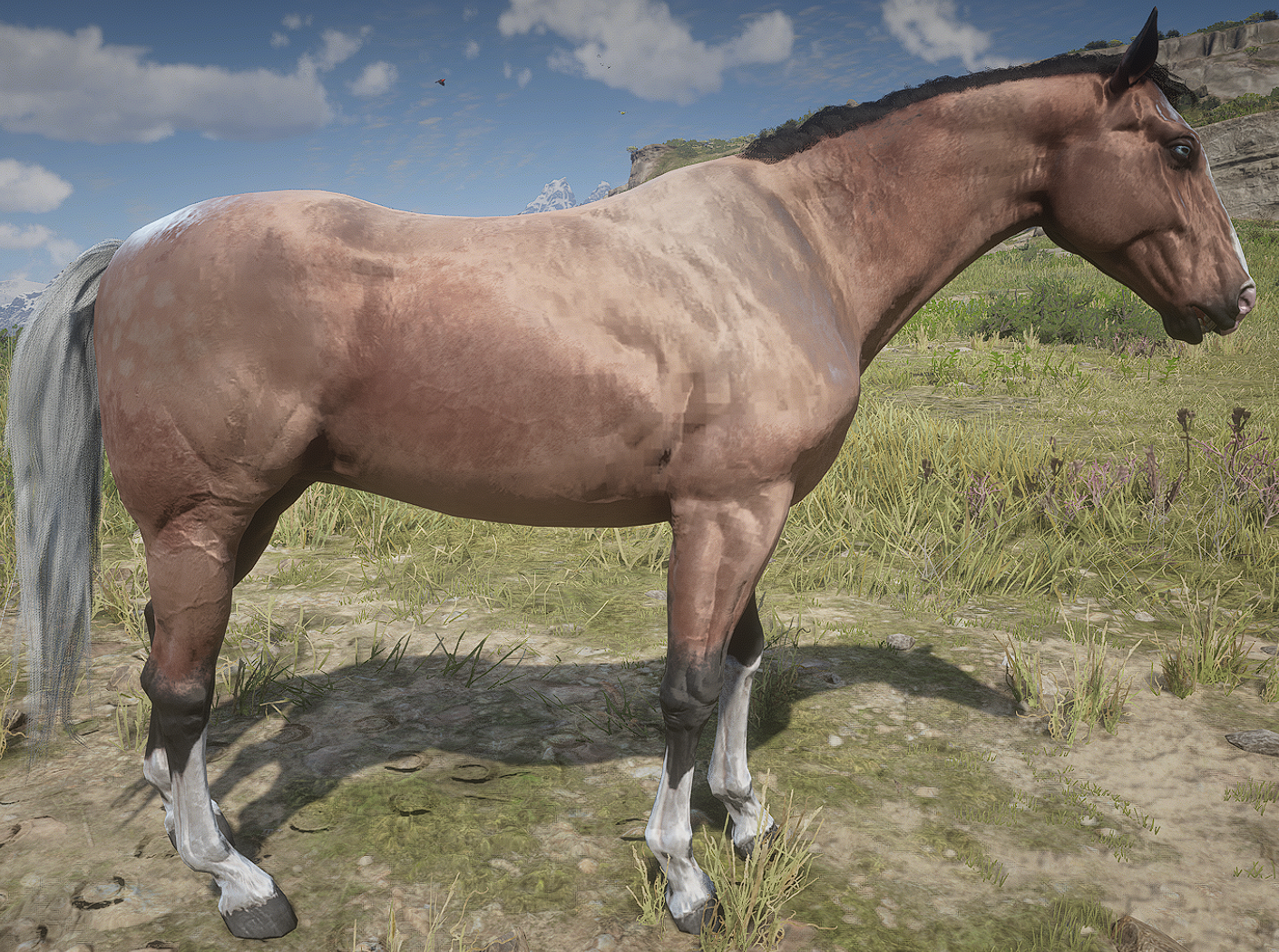 Buckskin Horse Rdr2