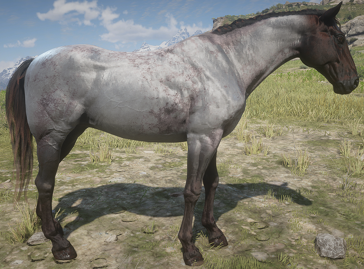 A_C_Horse_DutchWarmblood_ChocolateRoan - RDR2 Ped Model Database ...
