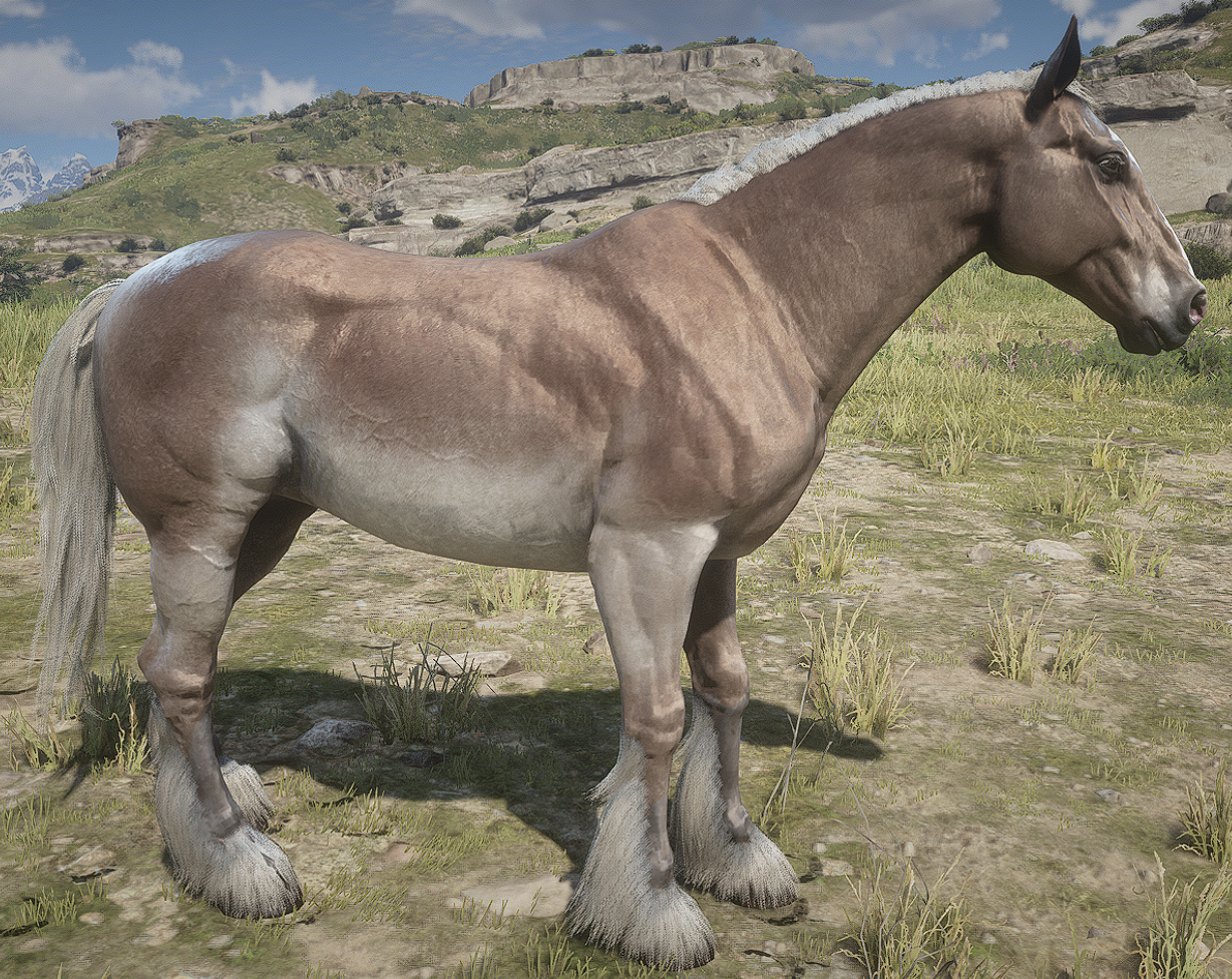 A_C_Horse_Belgian_MealyChestnut - RDR2 Ped Model Database