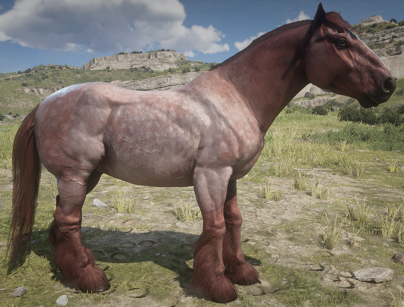 Ardennes Horse Rdr2