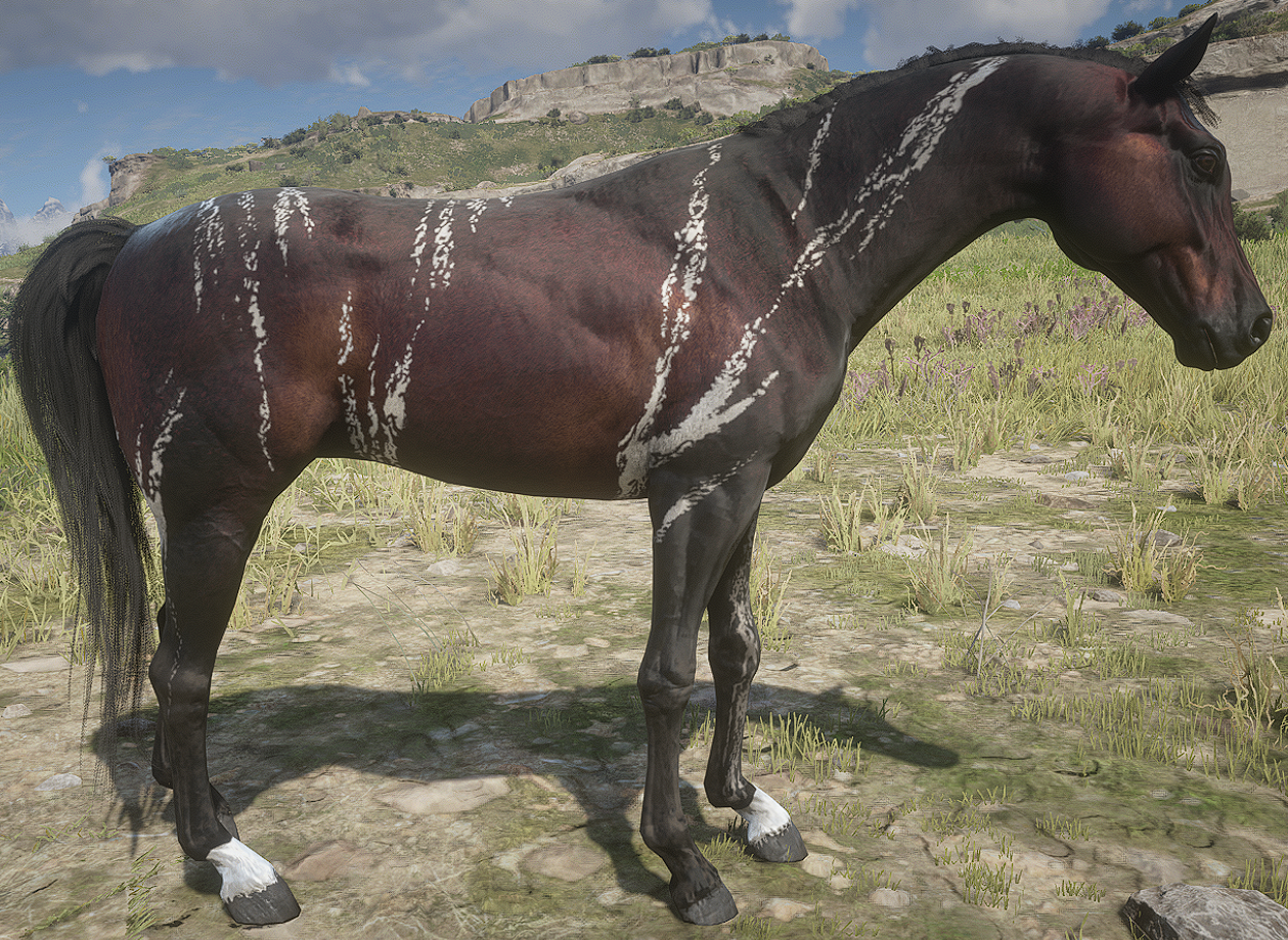 A_C_Horse_Arabian_WarpedBrindle_PC - RDR2 Ped Model Database - RDR2Mods.com