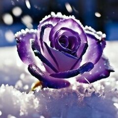 VioletChambers